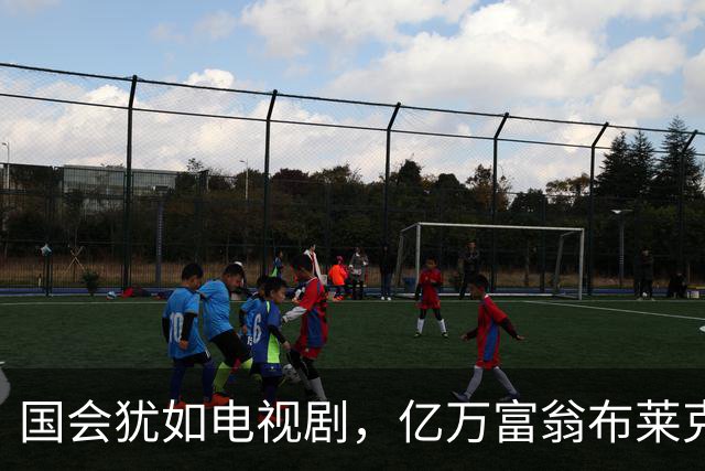 国会犹如电视剧，亿万富翁布莱克演绎藐视戏码